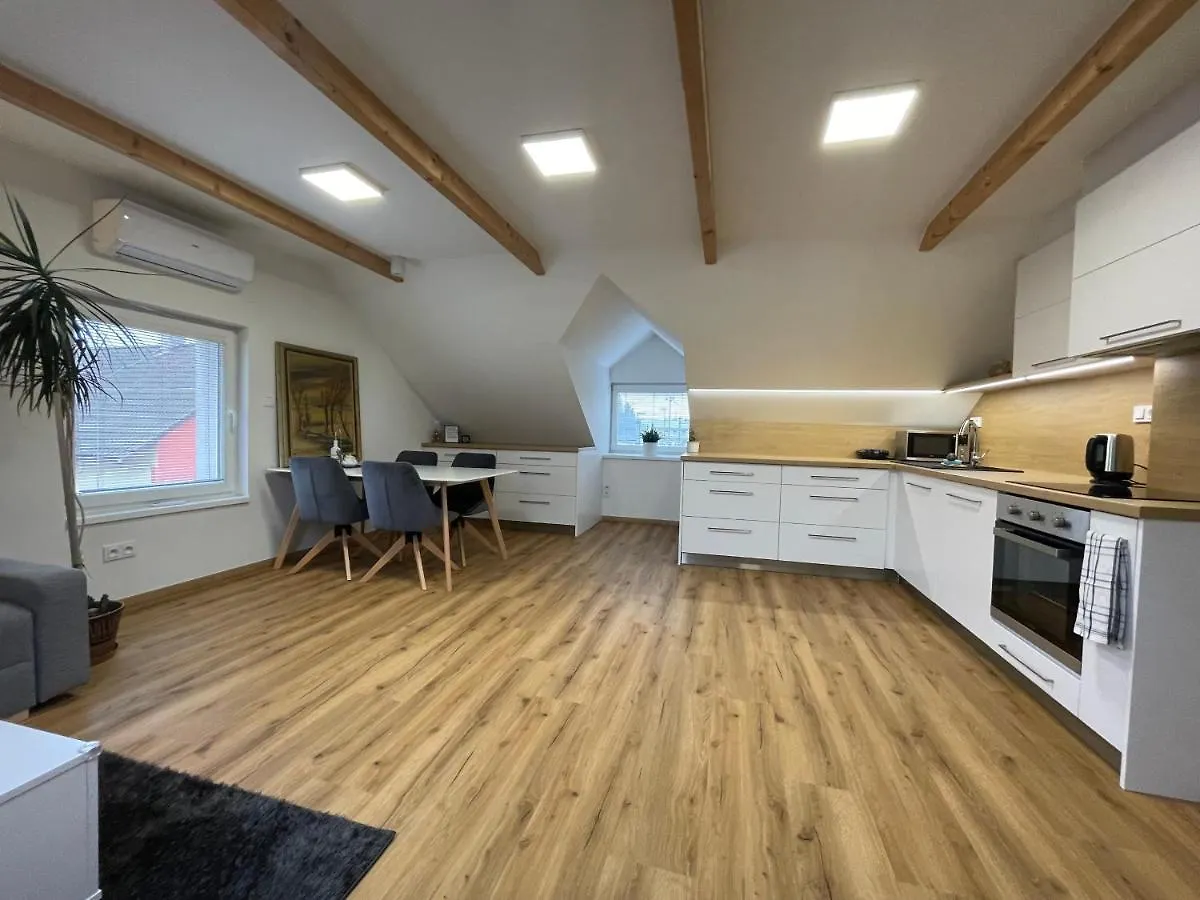 Apartman Svetla Pardubice 0*,  República Checa